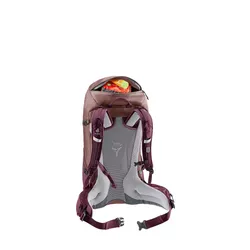 Plecak Deuter Futura 24 SL - ashrose/cassis