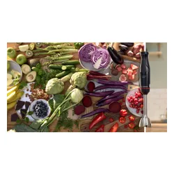 Blender BOSCH ErgoMaster MSM4B654