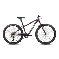 ORBEA MX 24 Takımı Çocuk Bisikleti