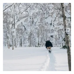 Deska Rome Mechanic 2026