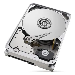 Seagate SkyHawk AI CMR Sunucu Diski 12 TB 3.5 " SATA III (6 Gbps) (ST12000VE0008)