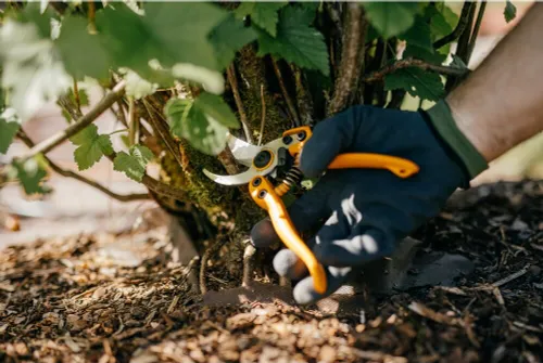 Sekator jednoręczny Fiskars PB-8 M