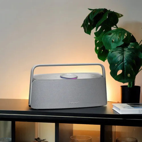 Głośnik mobilny TRONSMART Fiitune X30 Szary