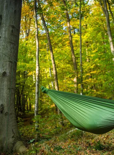 Hamak Lesovik Bystry - treetop green