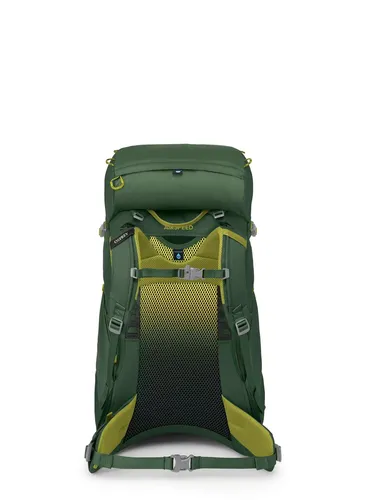 Plecak turystyczny dla dziecka Osprey Ace 38 - green canopy