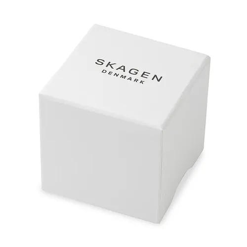 Часы Skagen SKW3155 серебристые