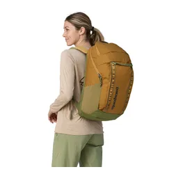 Рюкзак Patagonia Black Hole Pack 32 l - pufferfish gold