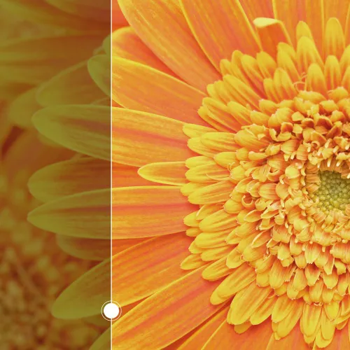 Monitor ZEUSLAP P16ST 16" 2560x1600px IPS 144Hz 3 ms