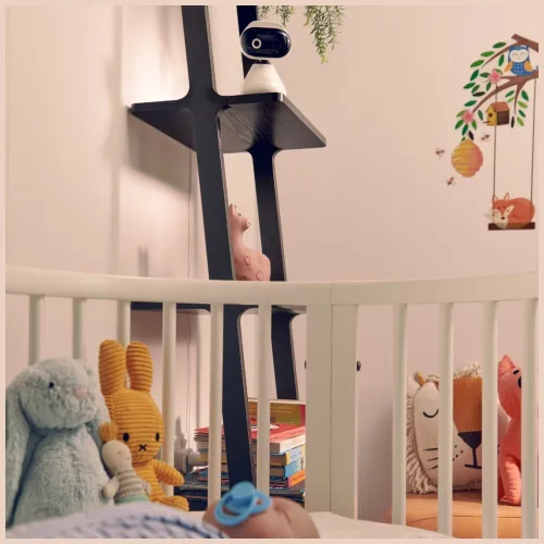 Kamera Motorola PIP1000