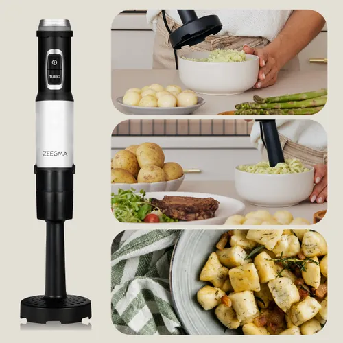 Blender ZEEGMA Handy Chef Versablend