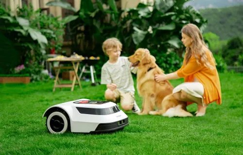 Robot koszący ANTHBOT Pion 1000