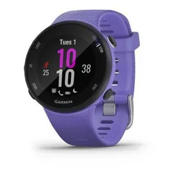 Смарт-часы Garmin Forerunner 45S ирис (010-02156-11)