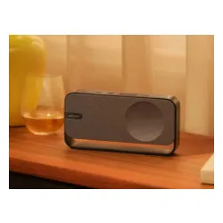 Głośnik Bluetooth Bose SoundLink Home Cool Grey