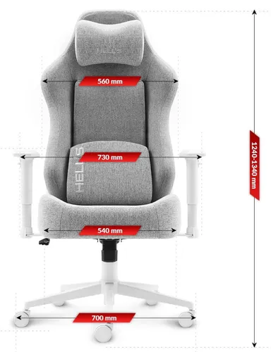 Fotel gamingowy HELL'S CHAIR HC 1009 Biało-szary