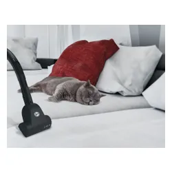 Пылесос HOOVER TXL20PET 011