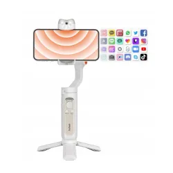 Gimbal Hohem iSteady V2S