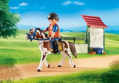 Playmobil At Araba Yıkama Tesisi (6929)