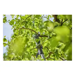 Nożyce akumulatorowe do gałęzi GARDENA teleskopowe HighCut 250/18V P4A (z akumulatorem) 14774-20