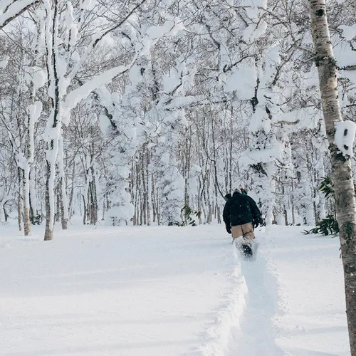 Deska Rome Slapstick Youth 2026