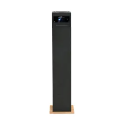 Kolumna Aiwa TSBT-360 Drewno 1szt.