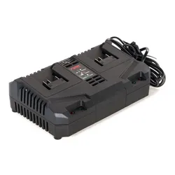 Ładowarka NAC BC20x2-40-S