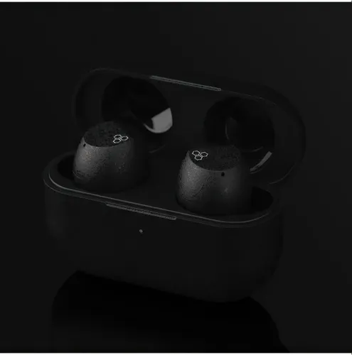 Słuchawki dokanałowe FINAL AUDIO ZE3000 SV ANC Czarny