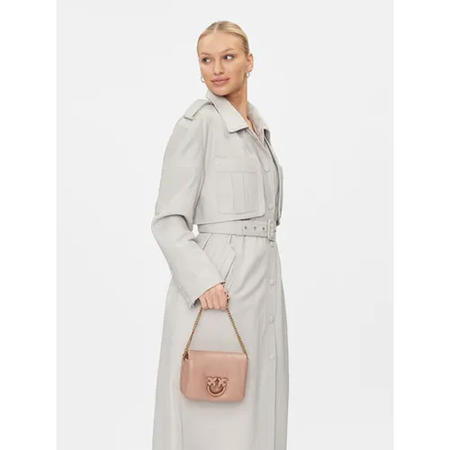 Pinko Love Click Baby Puff AI 23-24 PLTT 101584 A10F Geanta roz