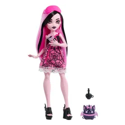 Lalka MONSTER HIGH Ukryte sekrety Straszynocowanka HYV64 (1 lalka)