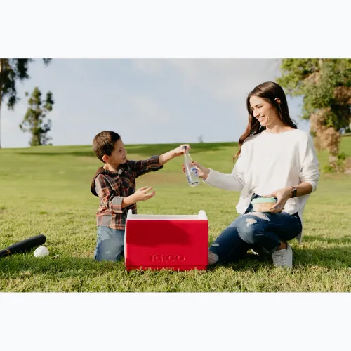 Lodówka turystyczna Igloo Playmate Elite 15 l red star