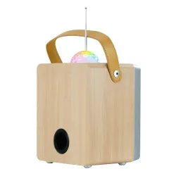 Power Audio Musicmate MM-SK100 Apex Flex 50W Bluetooth Radio FM Brązowy