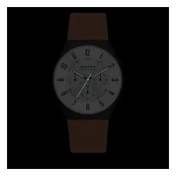 Skagen Grenen Kronograf Saat SKW6823 Brown