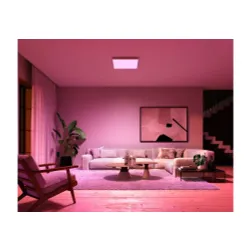 Lampa sufitowa Philips Hue White and Colour Ambiance Surimu 929002966401