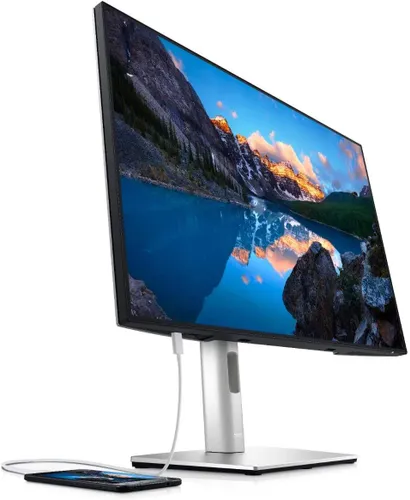 Monitor Dell UltraSharp U2421E 24" Full HD IPS 60Hz 8ms