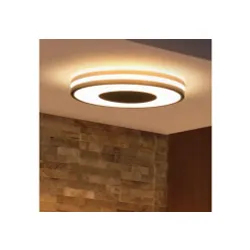 Lampa sufitowa Philips Hue White Ambiance Being 929003055101 Czarny