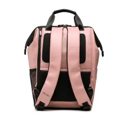 Rucsac Delsey Turenne 00162161009 Bujor