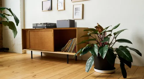 Głośnik Bluetooth Klipsch The Three Plus 120W Walnut