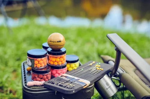 Echosonda wędkarska Deeper Smart Sonar Chirp+ 2.0
