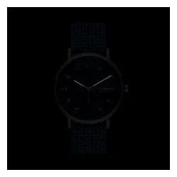 Skagen Kuppel Skw6894 Gümüş / Donanma Saati