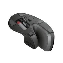 Myszka Trust Verro Ergonomic Wireless Czarny