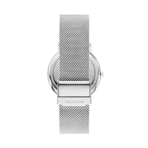 Часы Skagen Signatur SKW6904 серебристые