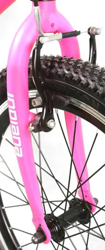 Rower dziecięcy INDIANA Figo 20 cali dla dziewczynki Różowy