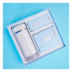 Irygator IVISMILE 01WP-W Biały