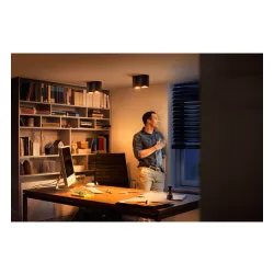 Oświetlenie punktowe Philips Hue White Ambiance Podwójne Pillar Czarny