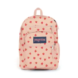 Большой студенческий рюкзак 34 l JanSport-клубничный душ