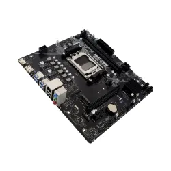 Płyta główna Biostar A620MS