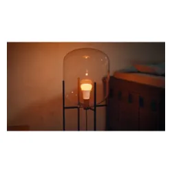 Żarówka LED Philips Hue White and Colour Ambiance A60 E27 2szt.