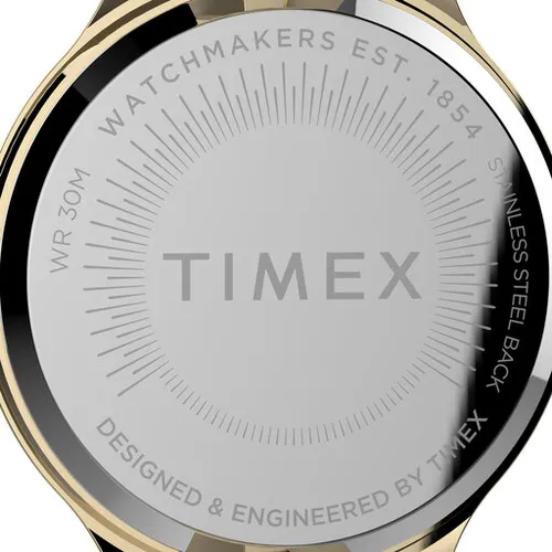 Timex Peyton TW2V06200 Gold / Gold Saati