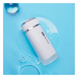 Irygator IVISMILE 01WP-W Biały