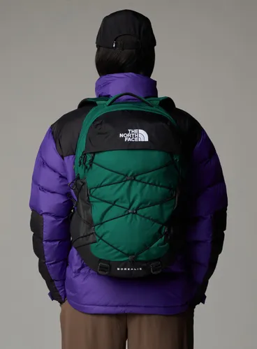 Рюкзак The North Face Borealis daypack - evergreen / tnf black