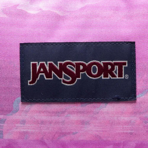 JanSport cross Town Rucsac EK0A5BAIW271 Static Rose